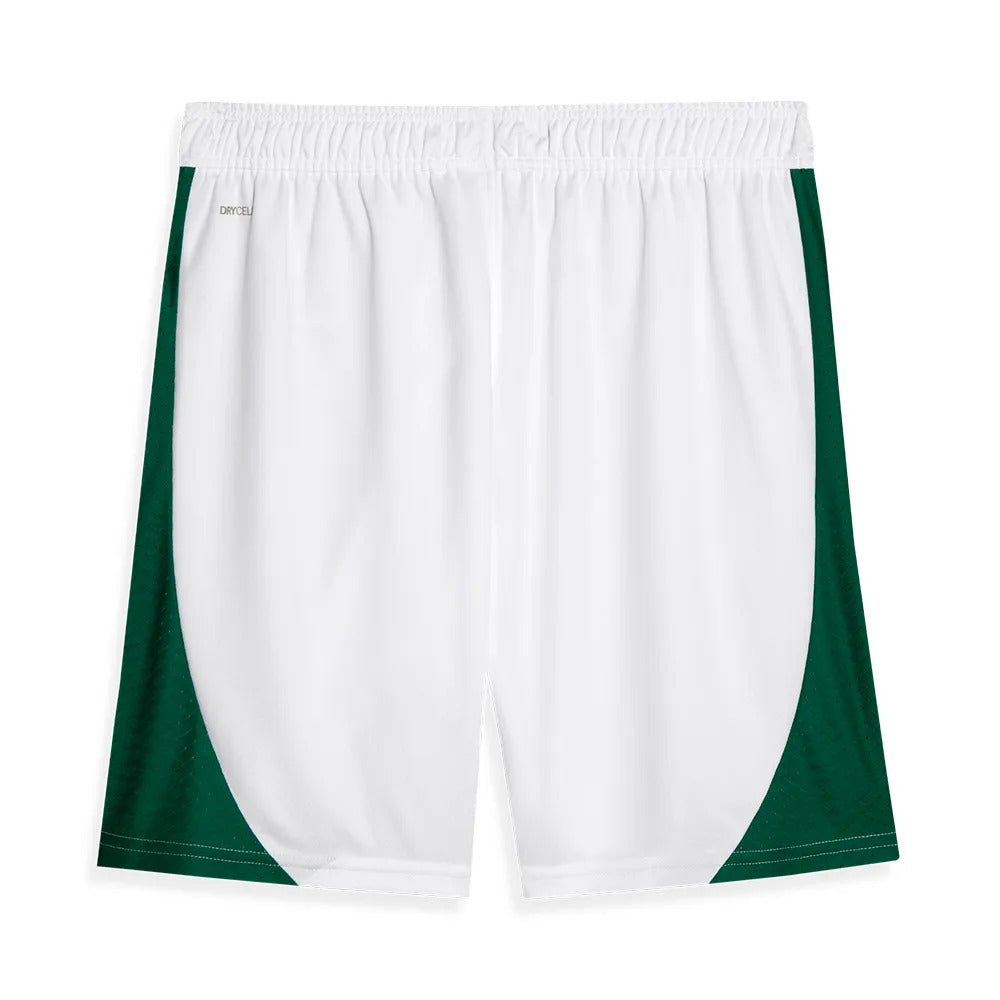 MAILLOT ENFANT PALMEIRAS DOMICILE 2024/2025