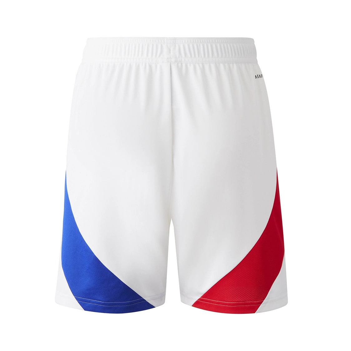 SHORT OL LYON DOMICILE HOMME 2024/2025